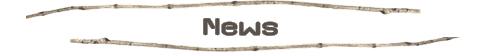 Business News